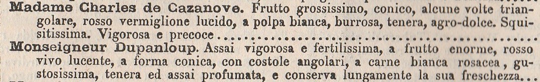 Riffaud-catalogo Anfelo Longone-Milano-1884-