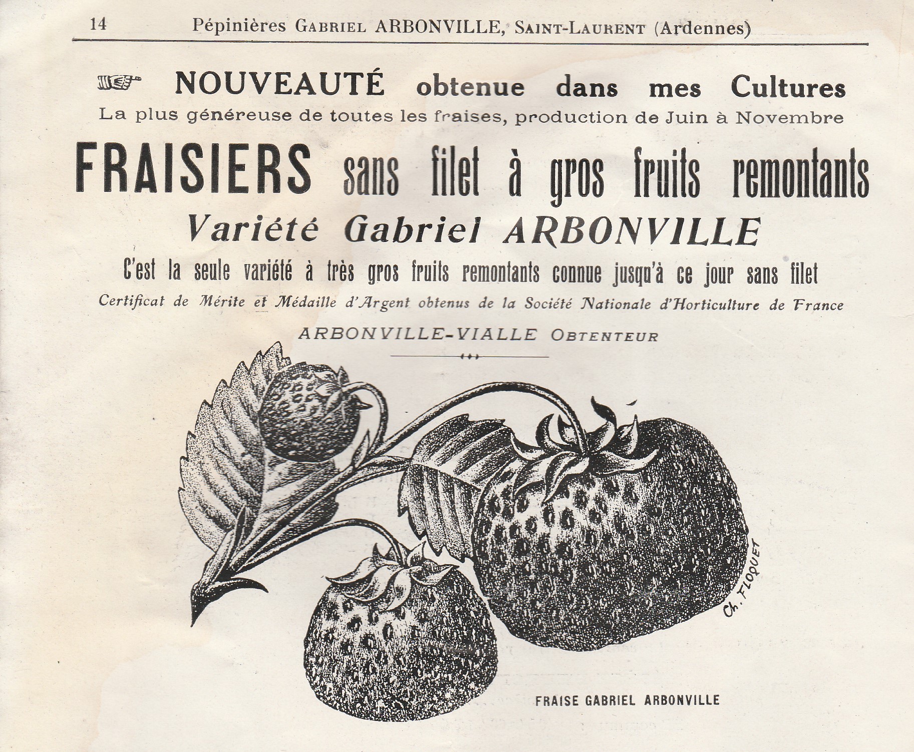 Arbonville-fraise gabiel Arb-1935-
