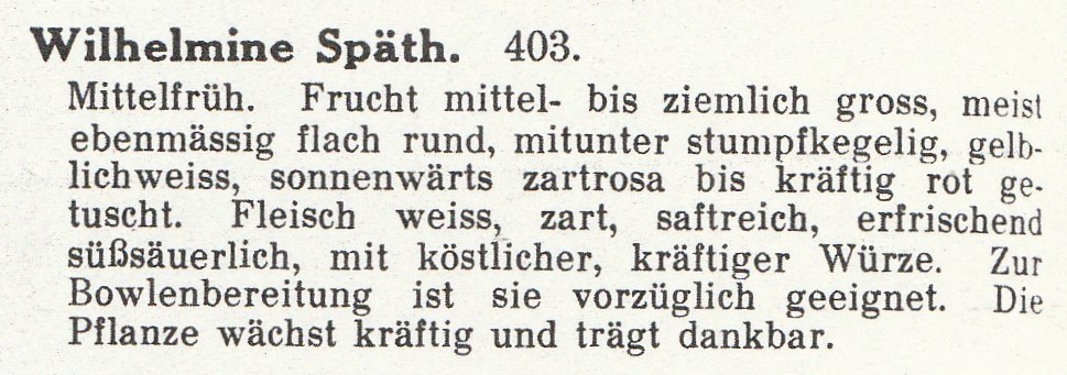 Spath-wilhelmina s -1930 book