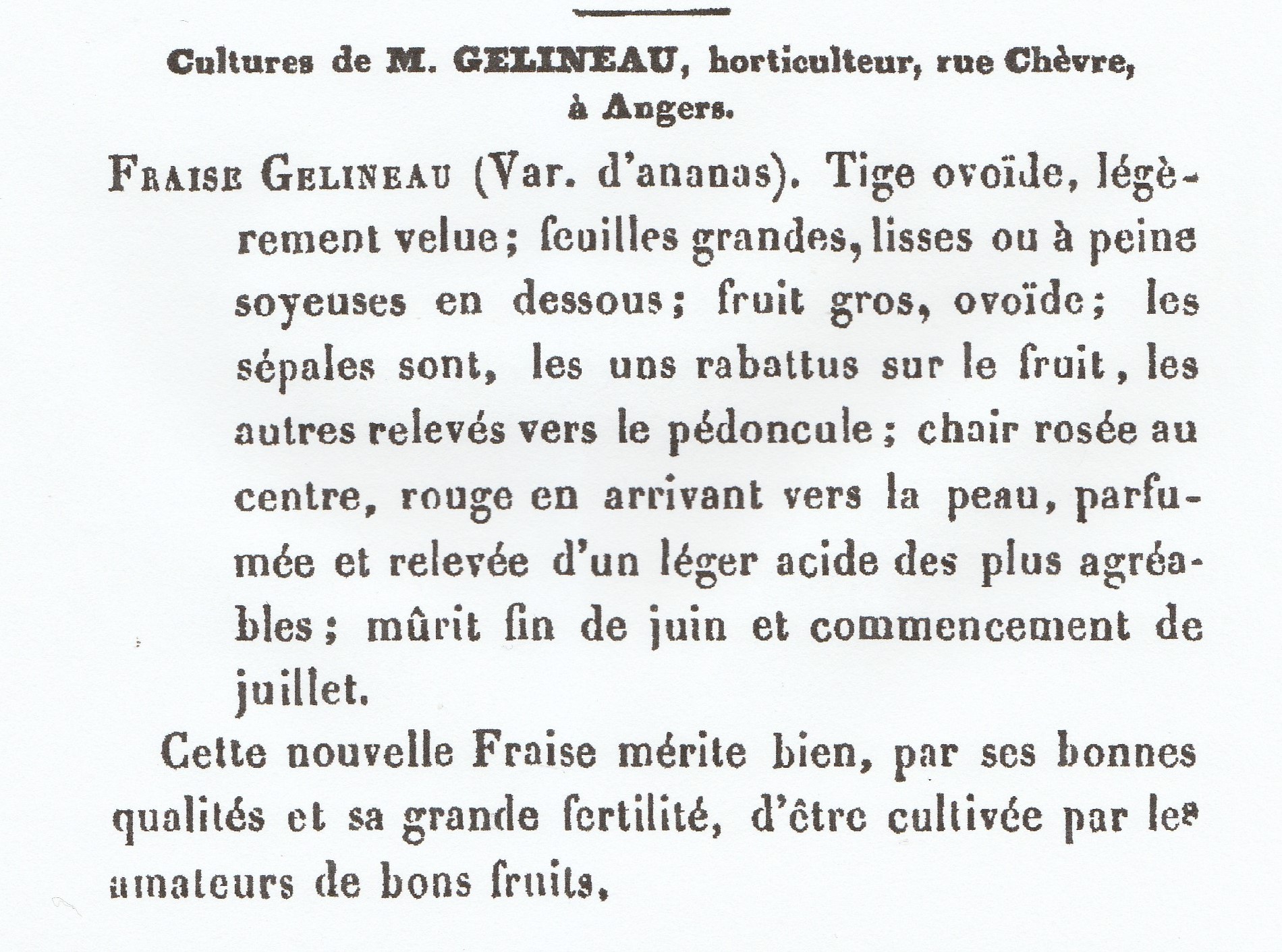 Gélineau-1855-