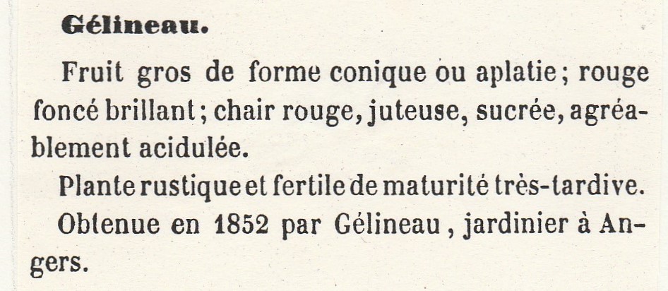 Gélineau-FGloede-1870-