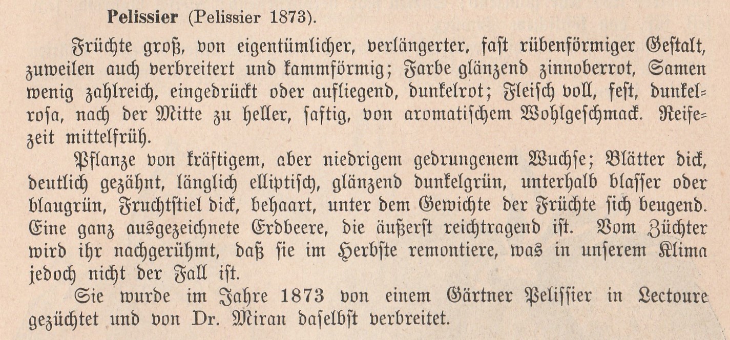 Pellissier-goeschke-1888-