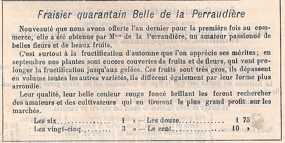 Perraudière-Fragaria semperflorens 'Belle de la Perraudière'Bruant-1897-