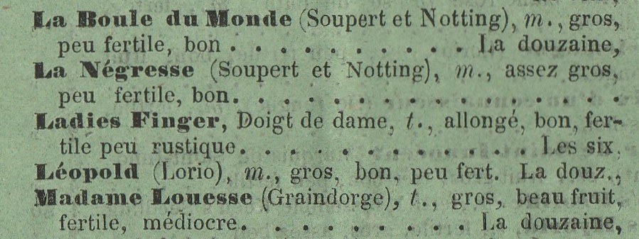 Soupert & Notting cat gloede 1866