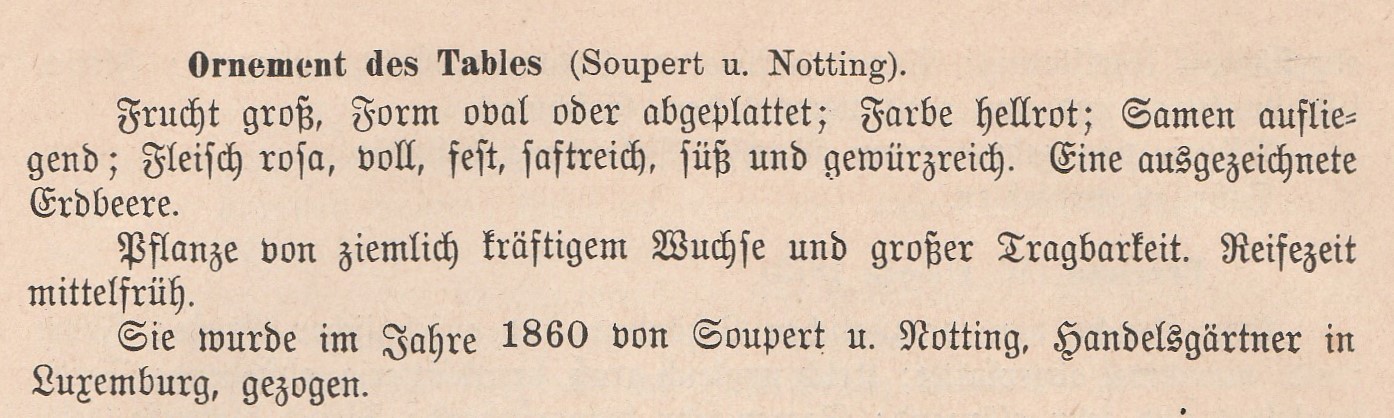 Soupert & Notting-goeschke-1888-