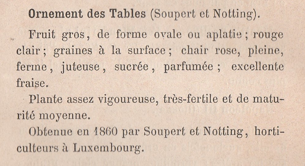 Soupert & notting-Gloede-1865-