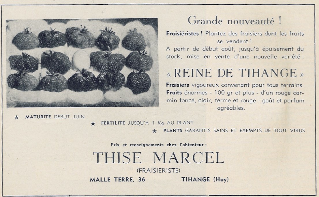 Thise, Marcel-Reine de Tihange'