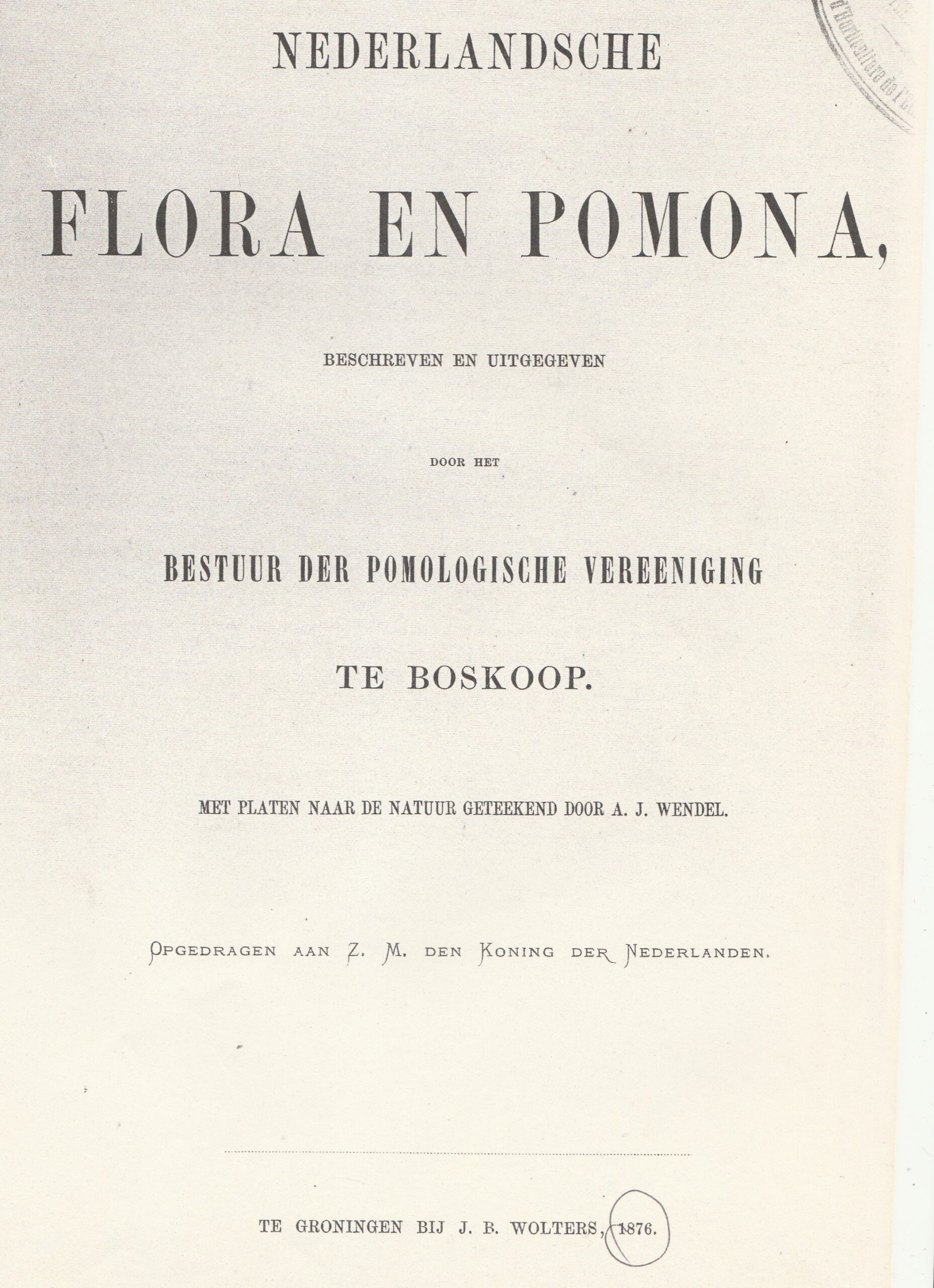 Boer-1876