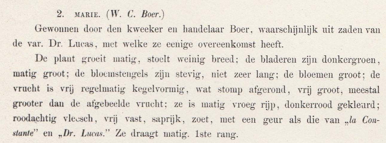 Boer, W.C.