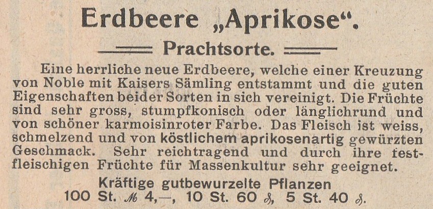 Böttner-Aprikose pabst -1907-