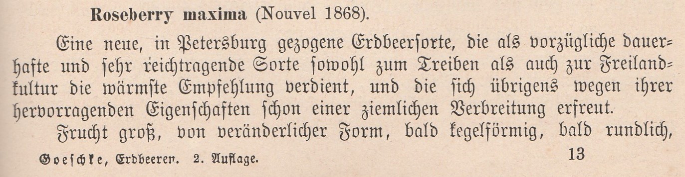 Nouvel-goeschke-1888-