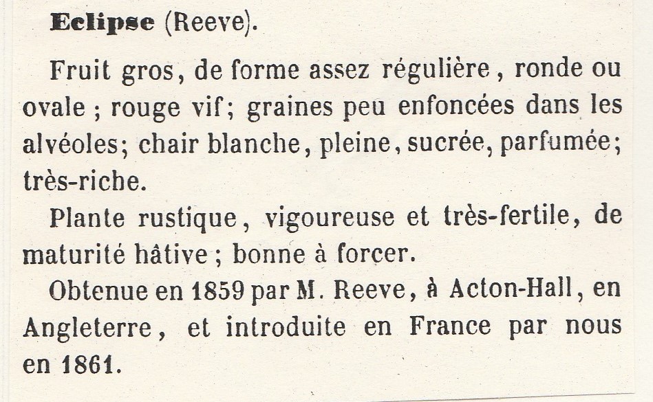 Reeve-gloede-1865-