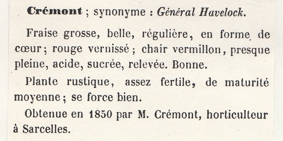Cremone-gloede 1865