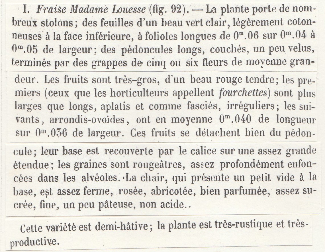 Graindorge-RH-1859-madame louesse-2