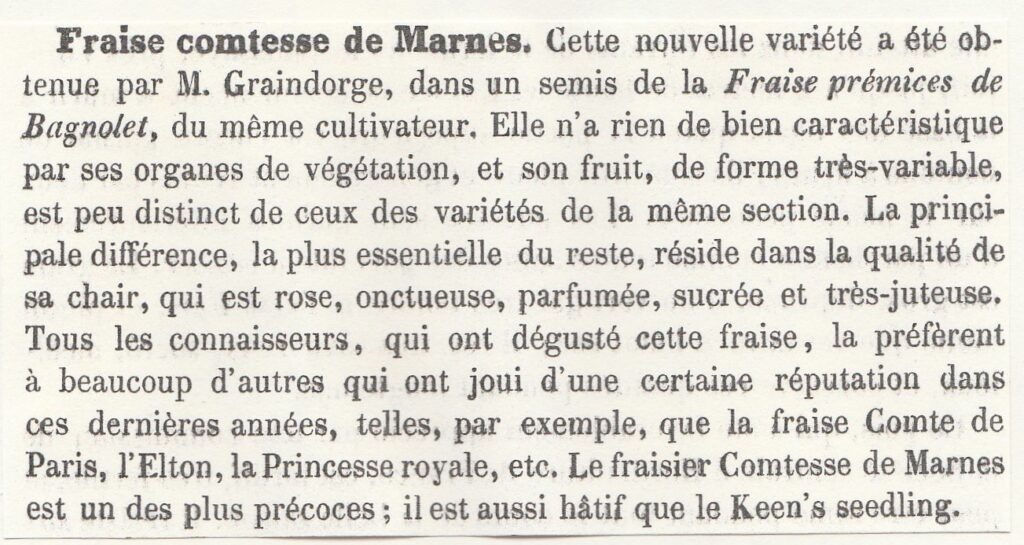 Graindorge-comtesse de marnes--HF-1851-
