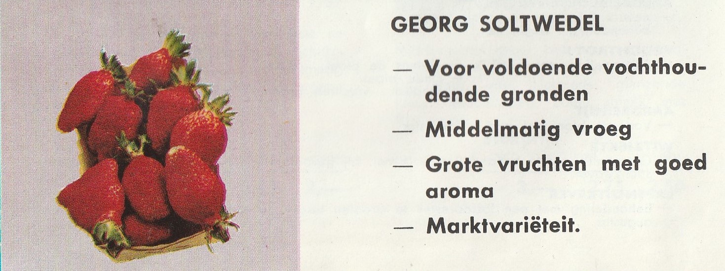 Soltwedel-arboflora 1960
