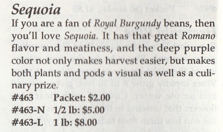 Sequoia