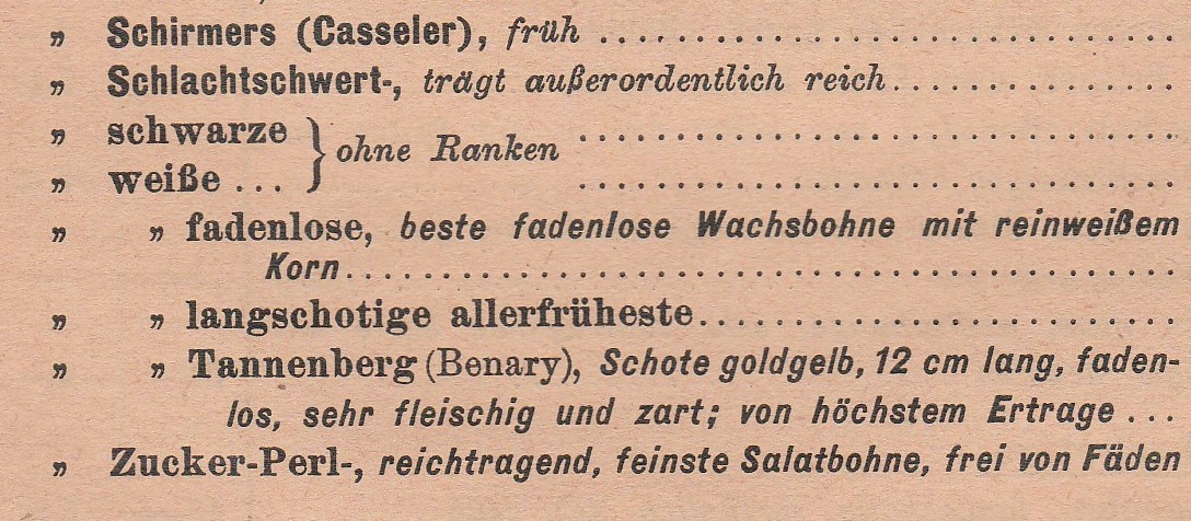 1927-Tannenberg 1927-Tannenberg