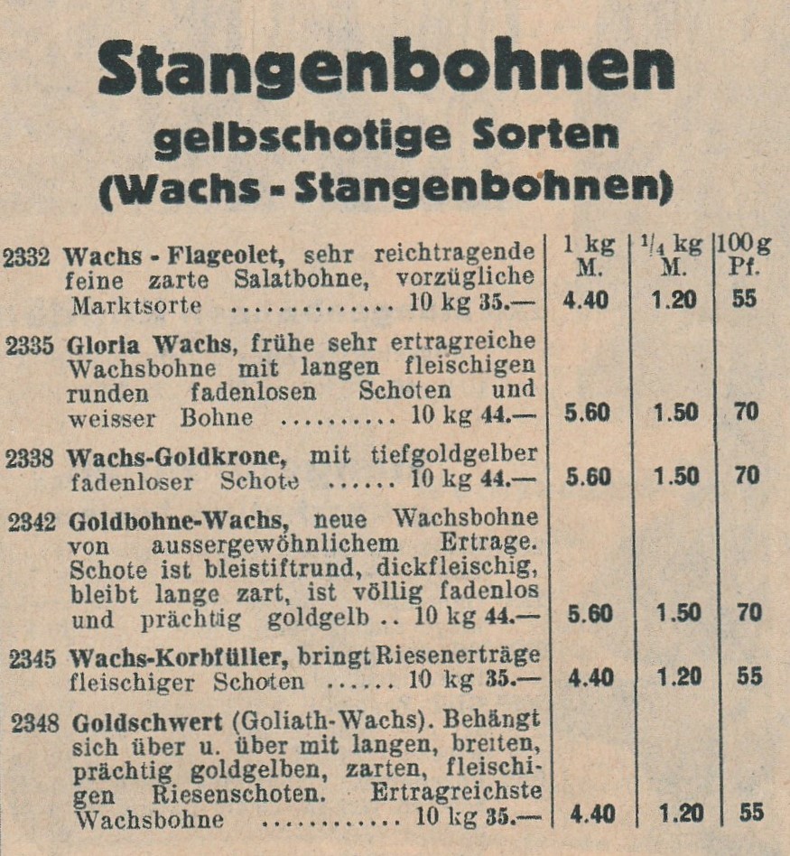 Goldbohne, wachs Goldbohne, wachs