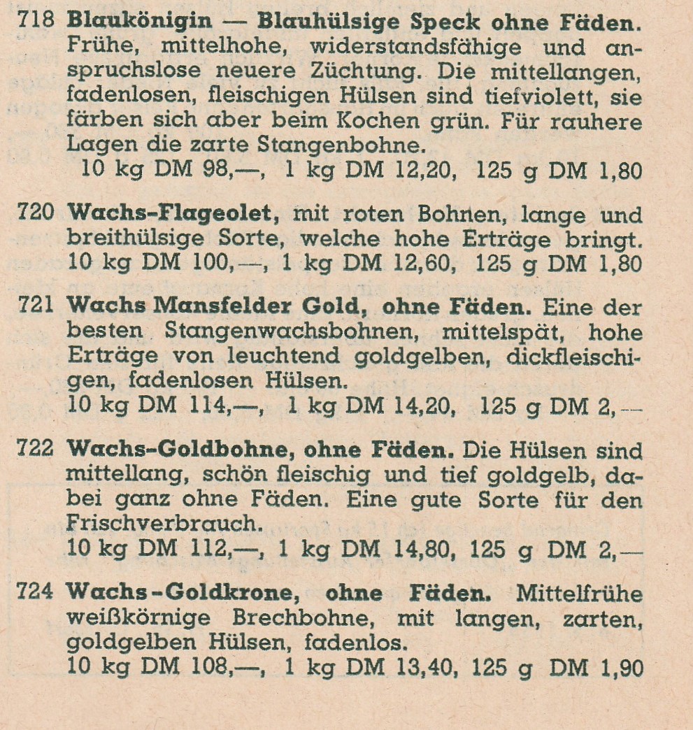 Mansfelder Gold