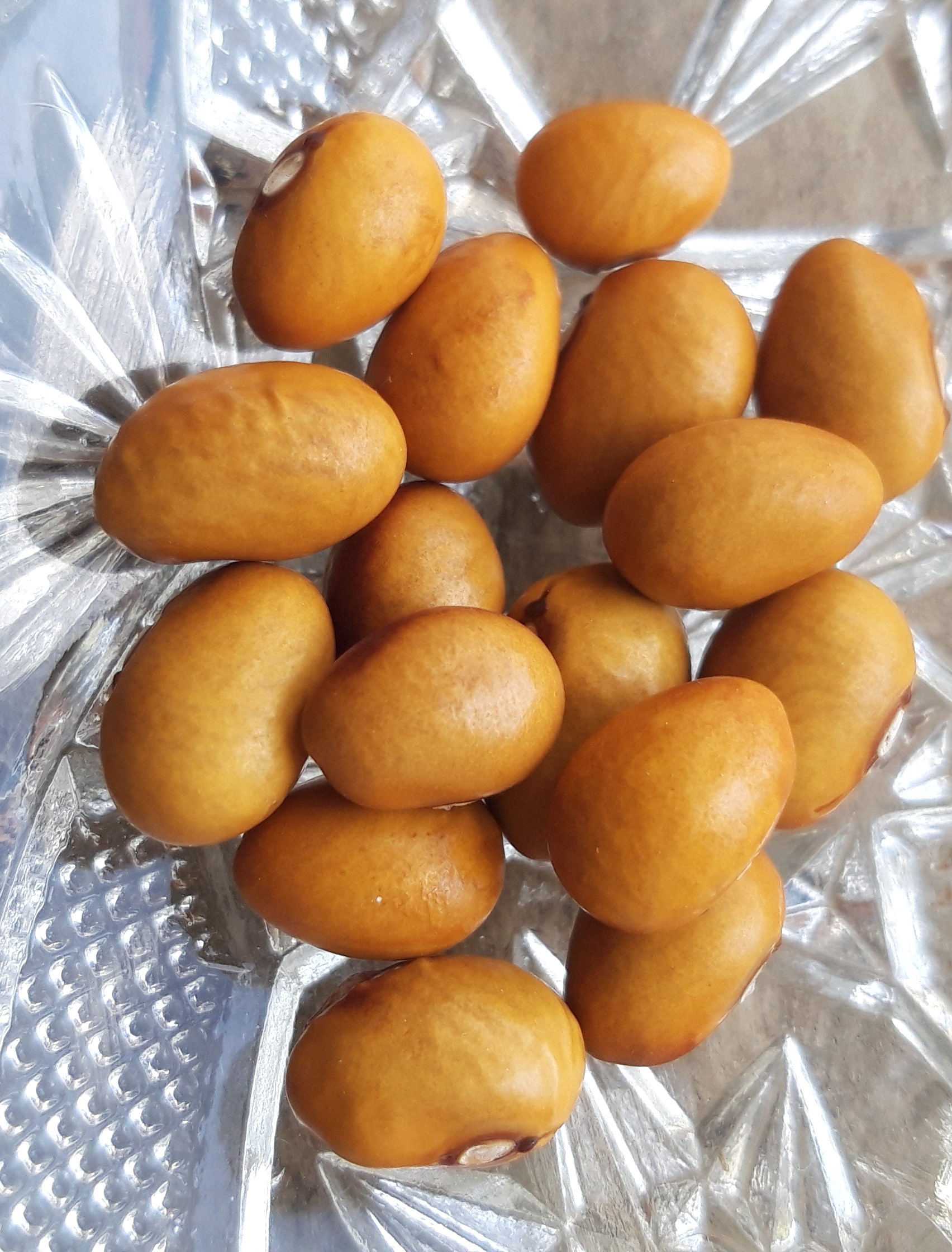 Marfax-