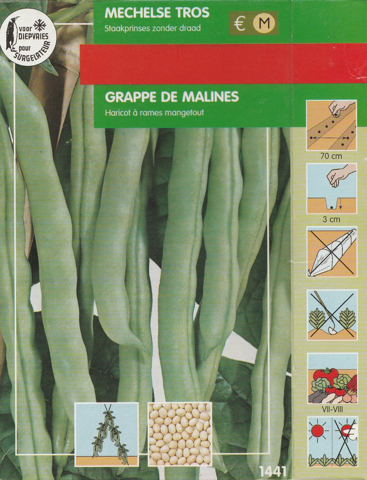 Mechelse tros-Grappe de malines