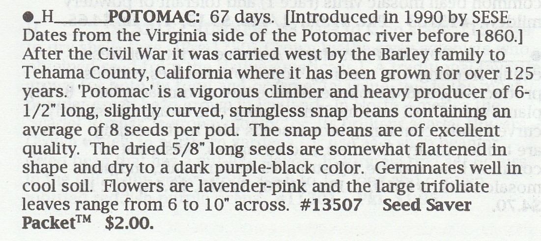 Potomac-1995- - kopie