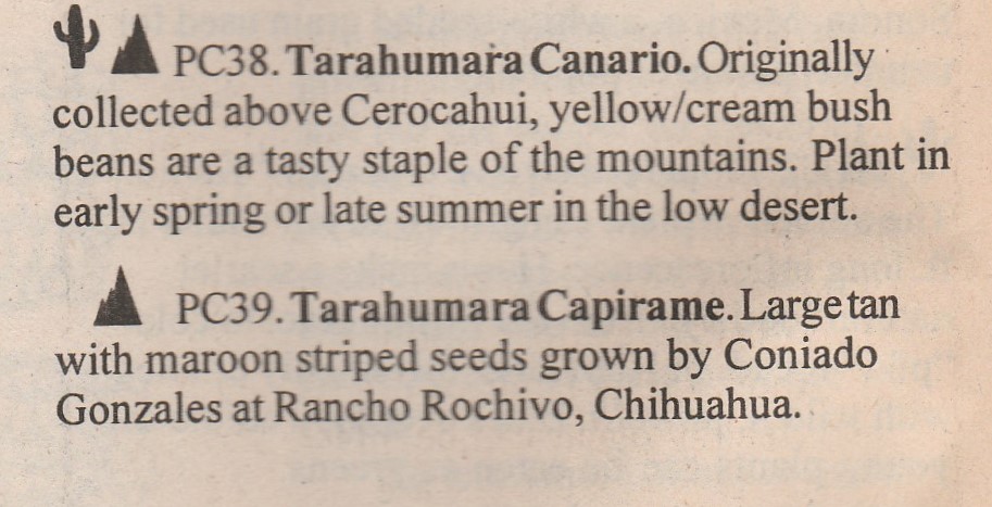 Tarahumara Canario & capirame