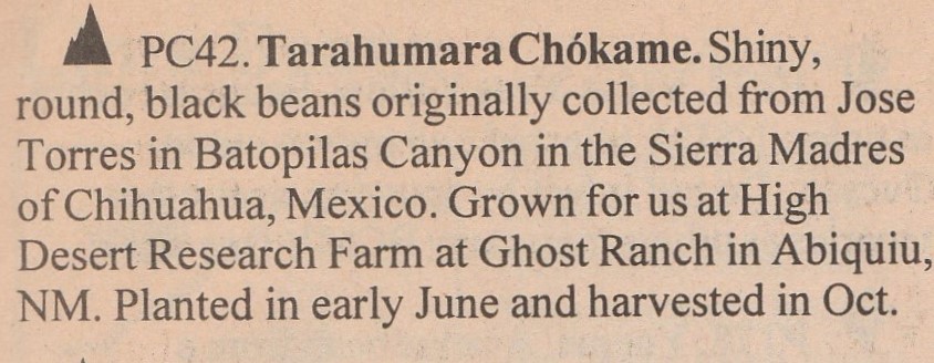 Tarahumara Chokame