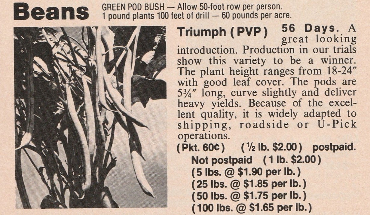 Triumph