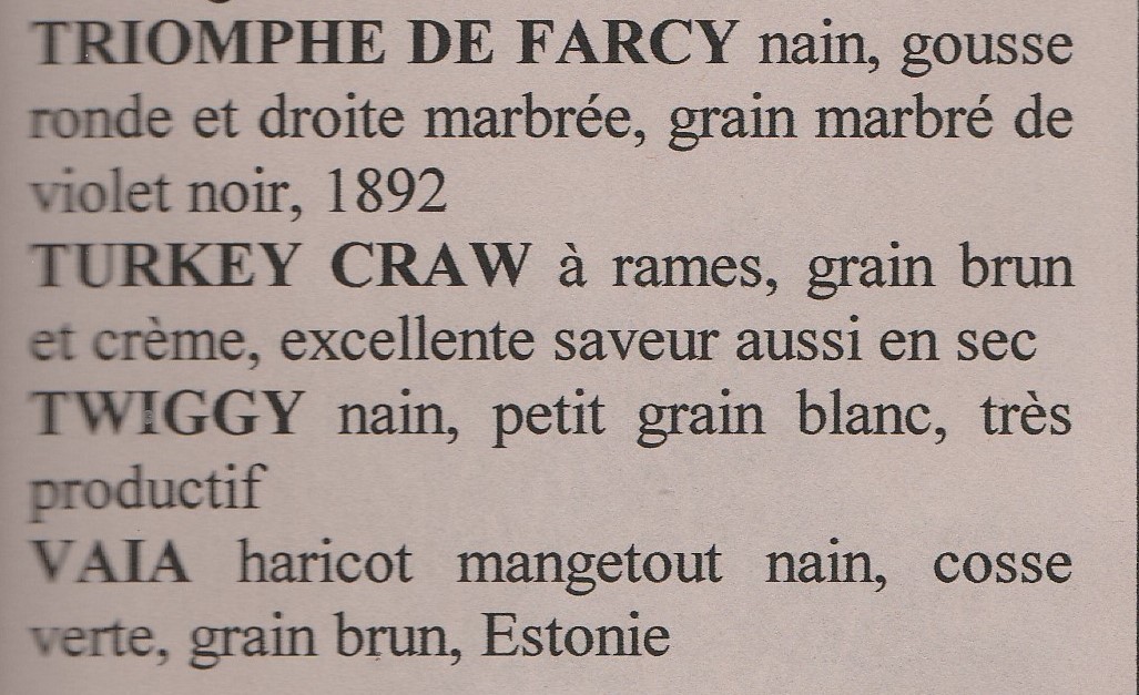 Twiggy