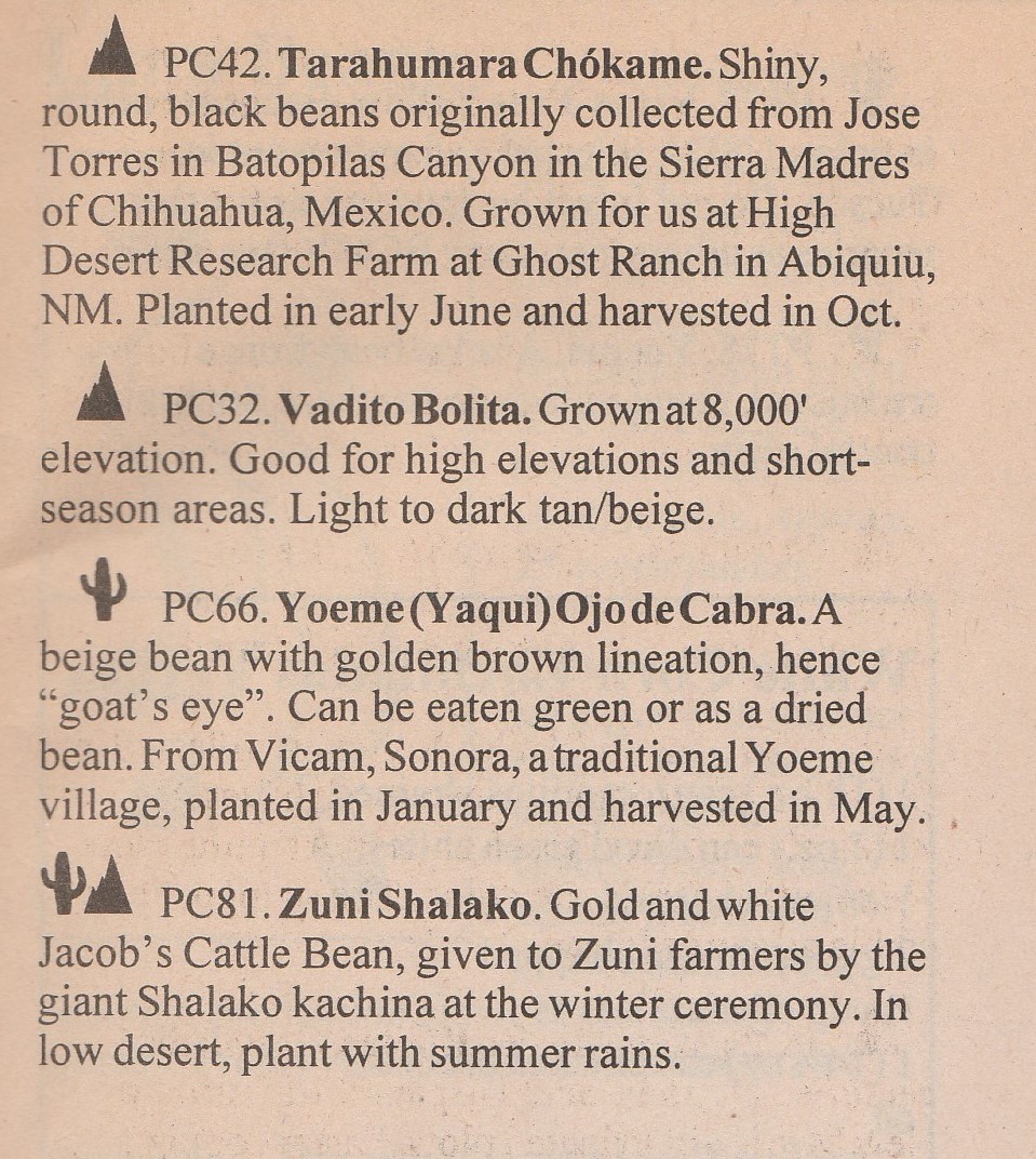 Vadito--1997-