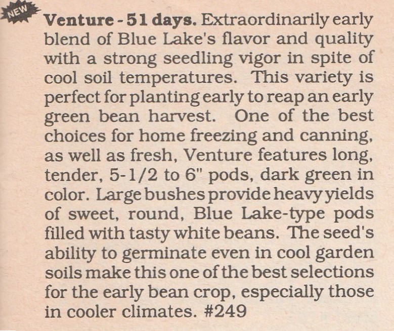 Venture-