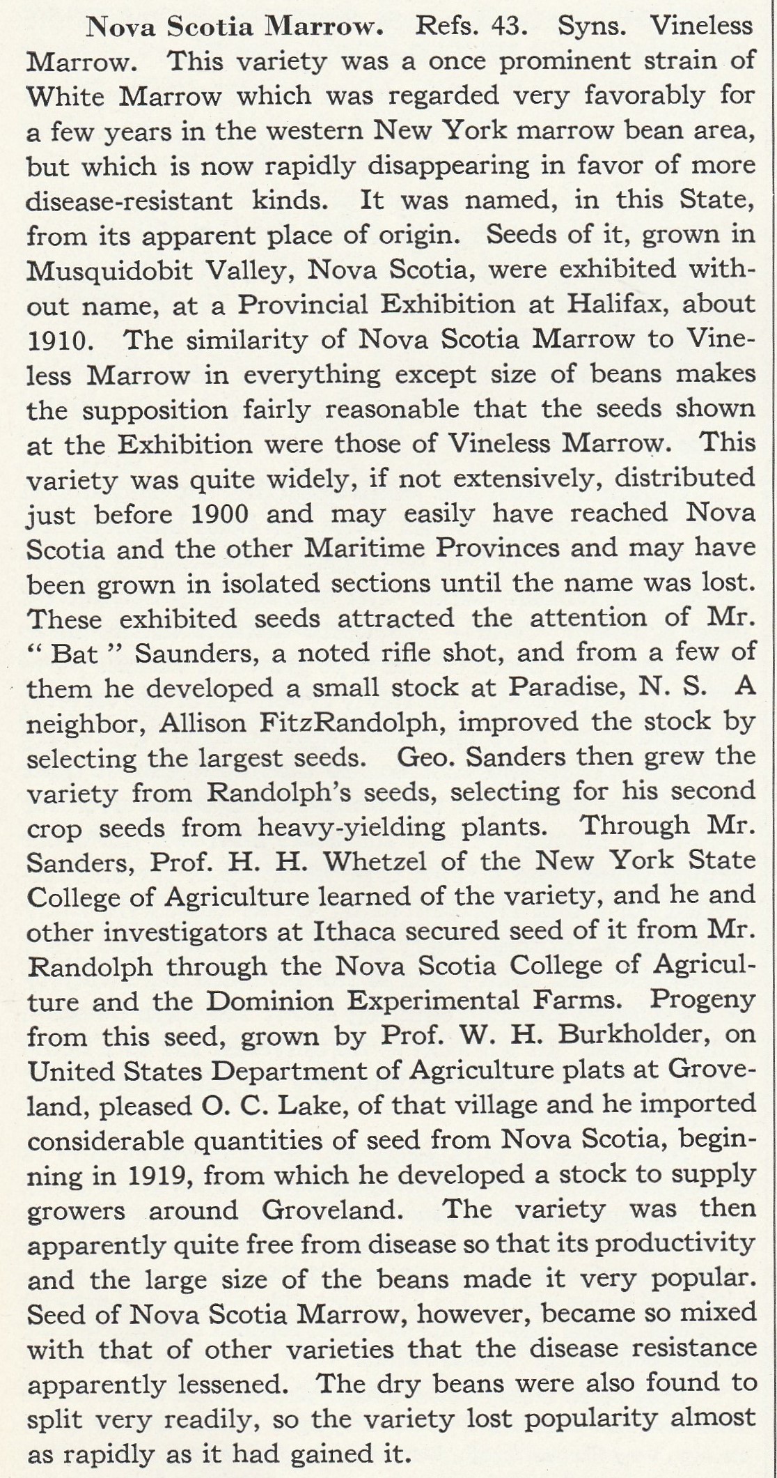 Nova Scotia marrow (2)