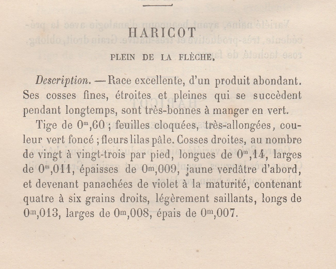 Plein de la Flèche