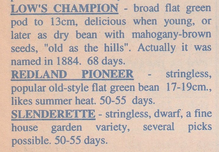 Redland Pioneer-1998-
