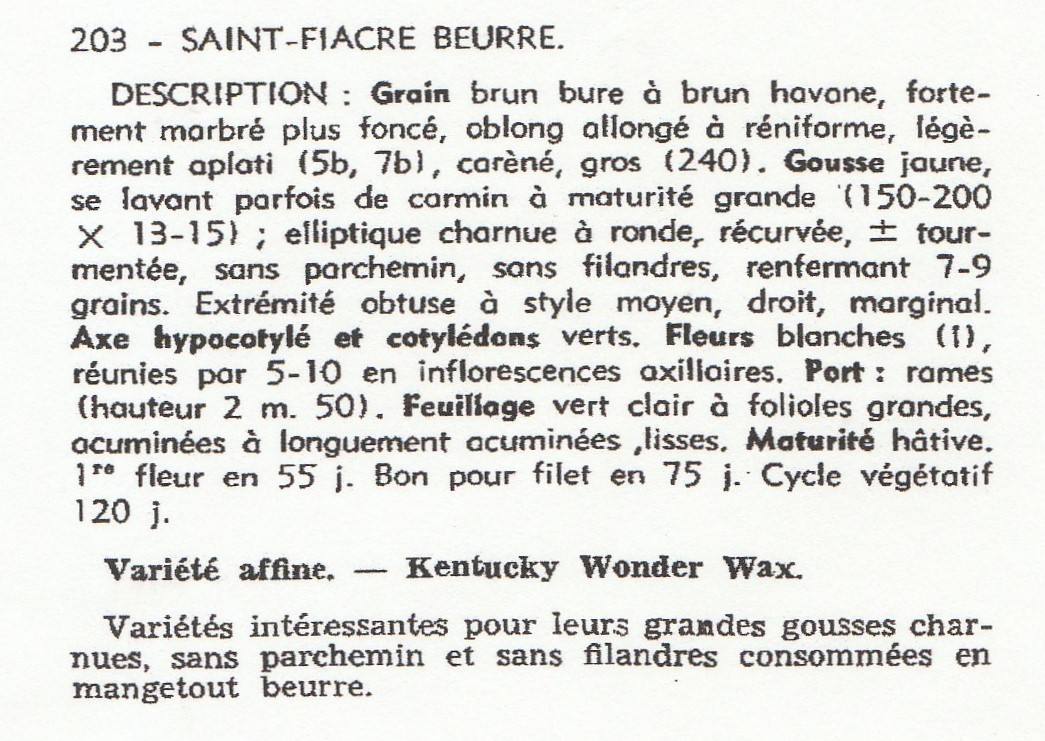 Saint-Fiacre beurre-1950-
