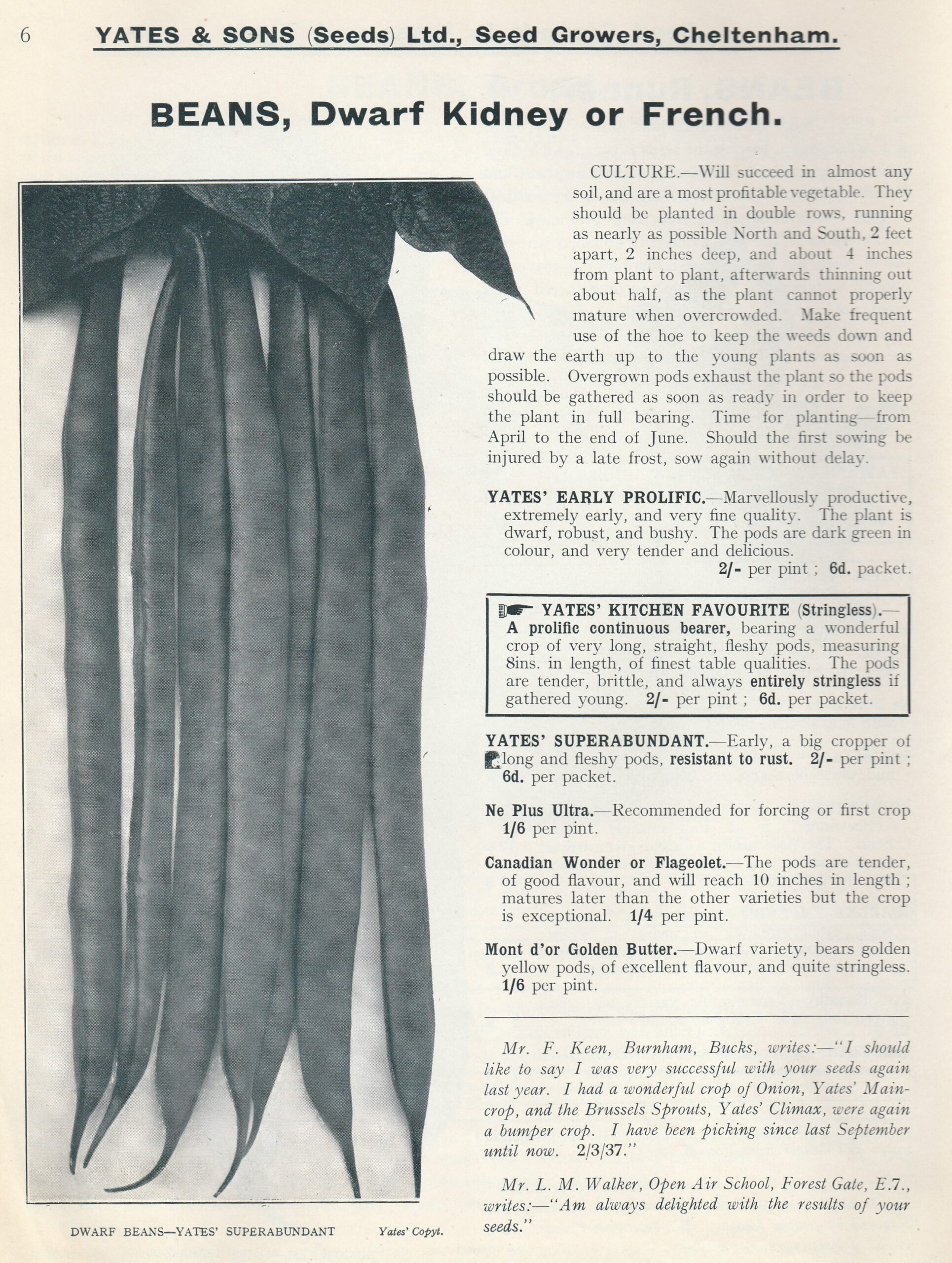 Superabondant-1938-