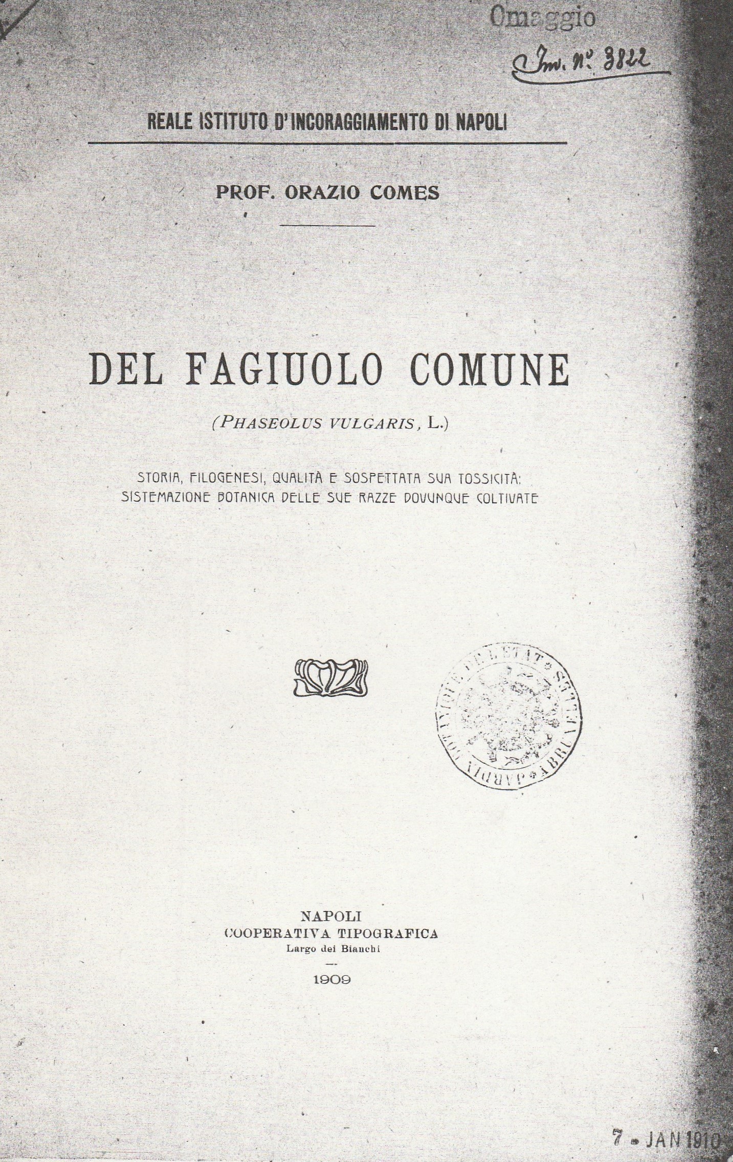 Comes Orazio-1910