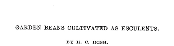 Irish, H.C.-1901-