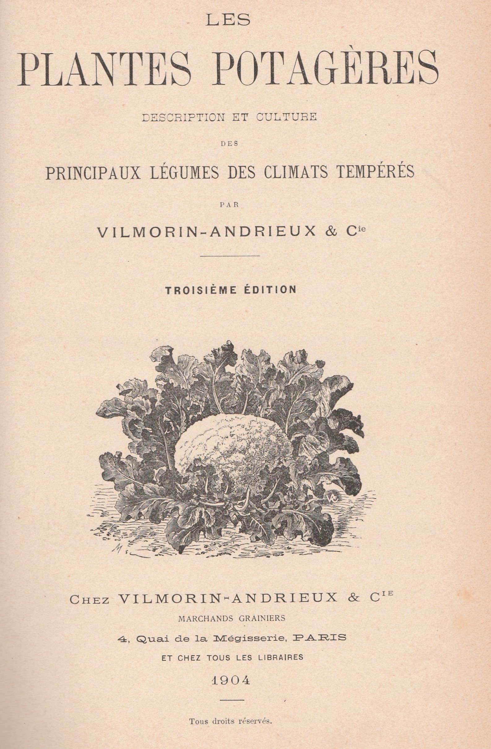 Plantes potagères-1904-