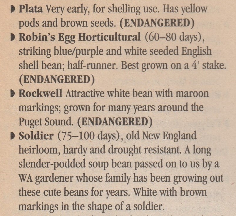 Plata-bush-1994