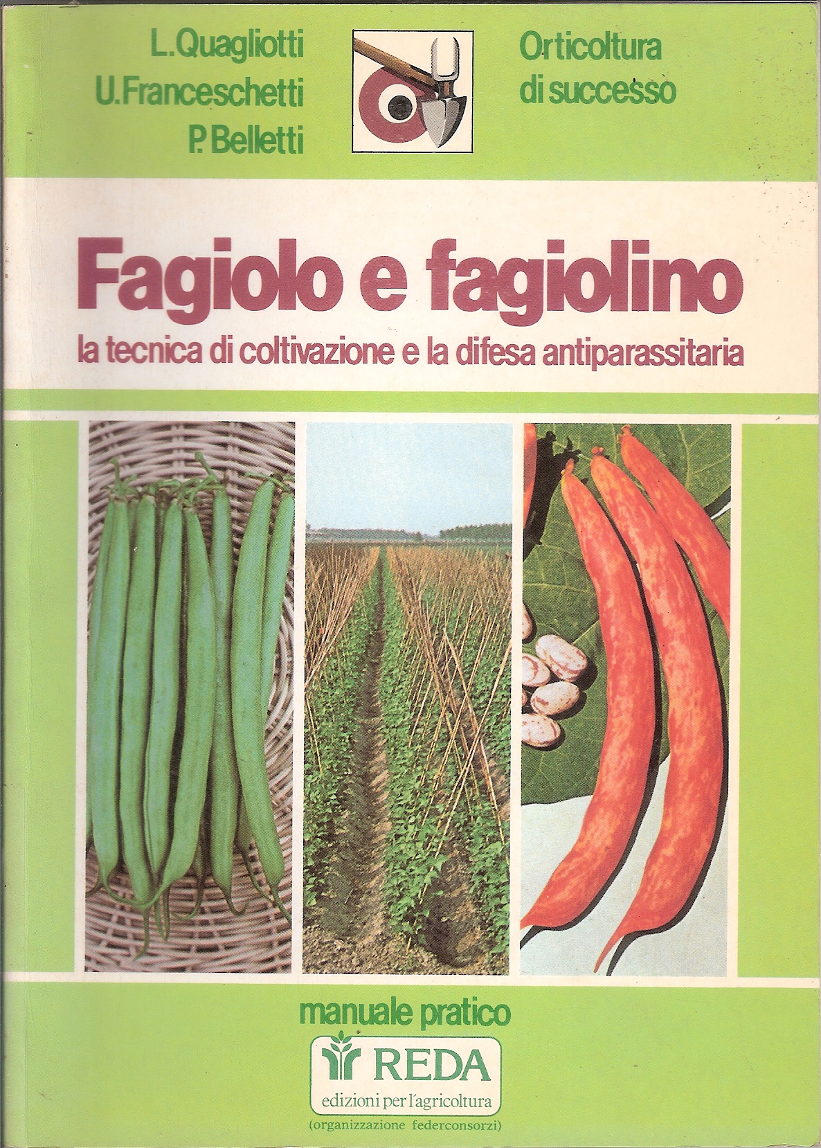 Quagliotti--Fagiolo e Fagiolino-1984-1