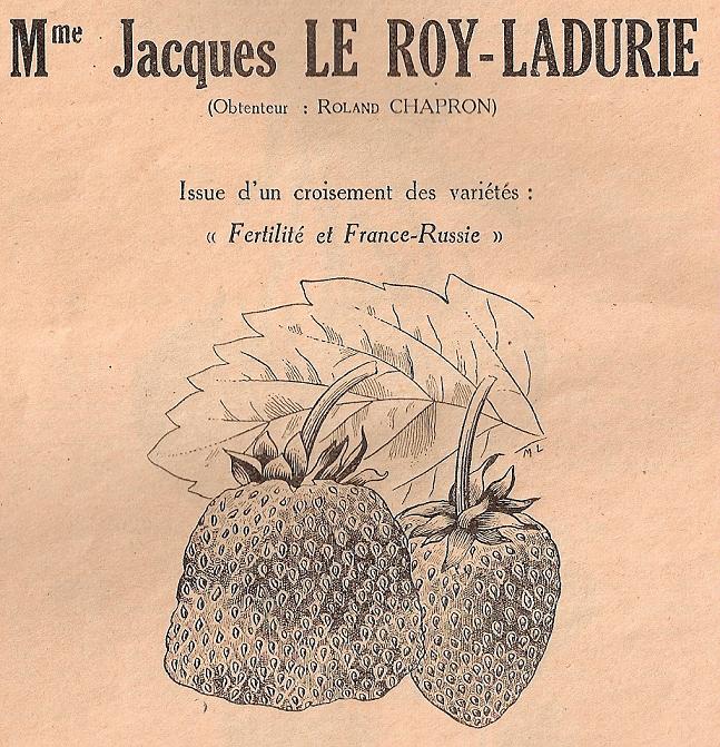 Chapron-Madame J.Le Roy-Ladurie-Chapron-1951-