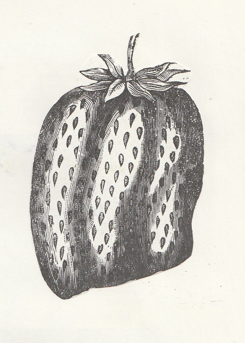 Flament-cat Godefroy-leb-1880-