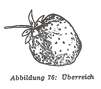 Heinemann, F.C.-Uberreich'