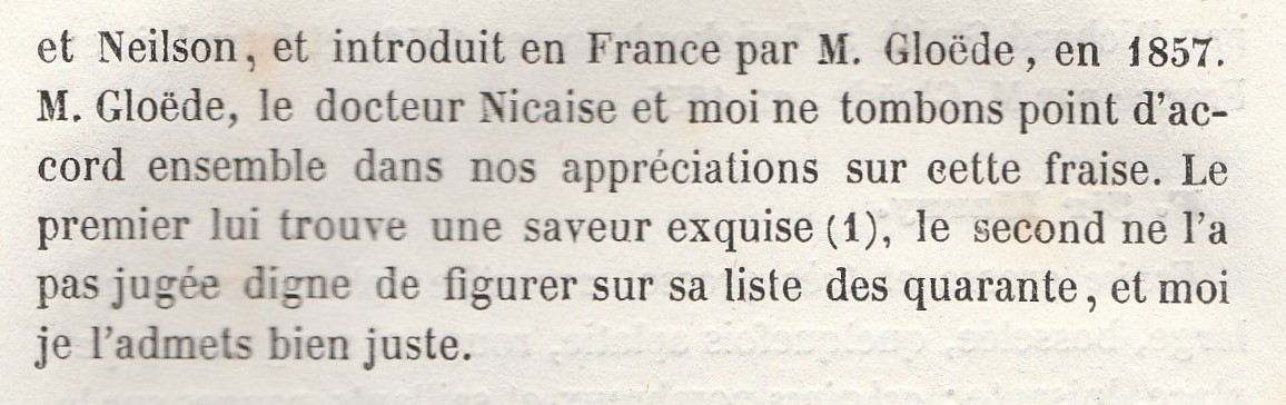 Stewart & Neilson-de lambertye--