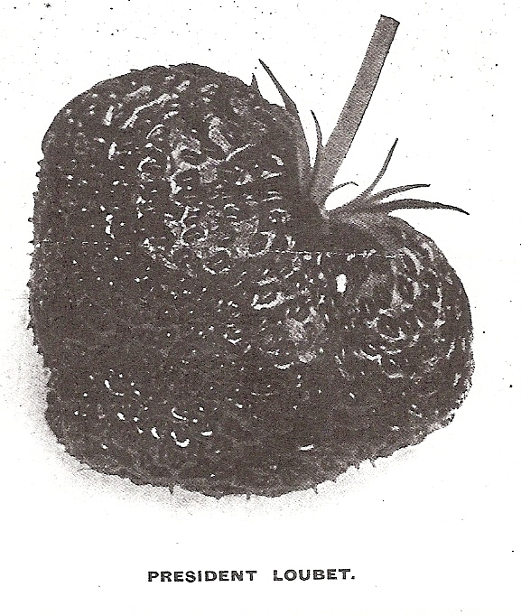 Veitch J.-Président Loubet-Veitch's 1909- - kopie