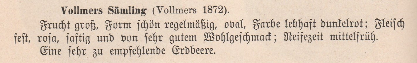 Vollmer-goeschke